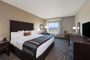 Wyndham Garden Orlando Universal / I Drive Стая снимка